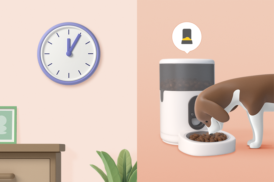 정해진 시간에 자동 급식기로 밥을 먹는 강아지
